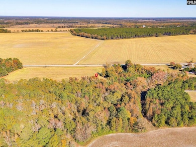 536 Elliott Hwy, Wisacky, SC 29010 - photo 6