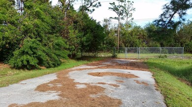 124 Del Monte Rd, Sebastian, FL 32958 - photo 2