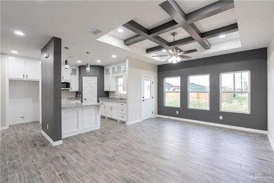 138 E Irvine Ave, Alamo, TX 78516 - photo 2