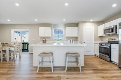 1725 Sunglow Ln, Dekalb, IL 60115 - photo 4