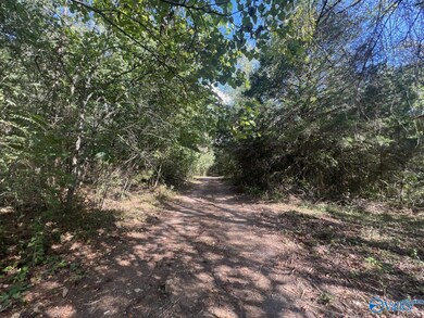Tract 1 Williams Rd, Athens, AL 35614 - photo 3