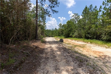 0 Schillinger Rd N unit 7412481, Mobile, AL 36608 - photo 2