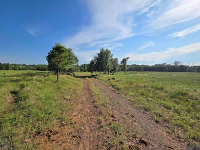 0 Tbd Private Road 4079, Gilmer, TX 75644 - photo 6