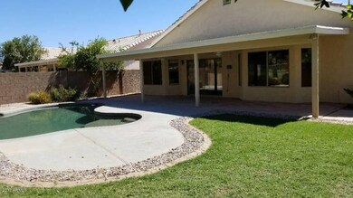 Backyard (2)
