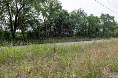 View of local wilderness