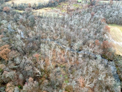 00 Pyrite Dr, Bible Grove, IL 62858 - photo 4