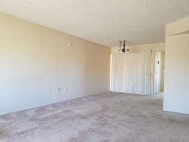 12002 N Sun Valley Dr sun City (1)