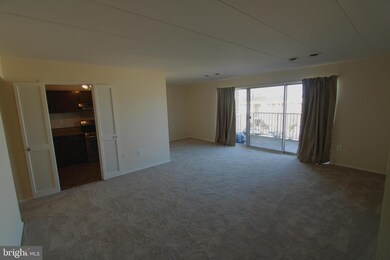 2620 Fort Farnsworth Rd unit 225, Alexandria, VA 22303 - photo 2