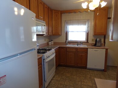 779 N Emroy Ave, Elmhurst, IL 60126 - photo 4