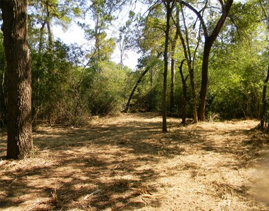 0 Old Joseph Rd, Hockley, TX 77447 - photo 5