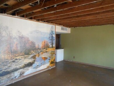 living room  (1)