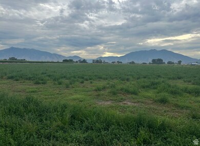 OPPORTUNITY is KNOCKING!