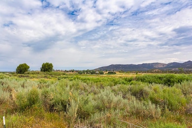 x Cox Cir, Arboles, CO 81137 - photo 5