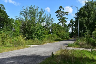 00 Balzy Rd, Houston, TX 77018 - photo 4