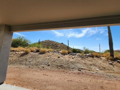 BACK YARD VIEW 1