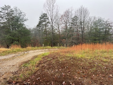 4353 Sandy Ridge Rd, Campton, KY 41301 - photo 4