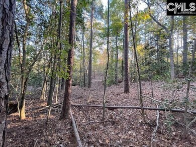 1620 Washington Lever Rd, Little Mountain, SC 29075 - photo 6