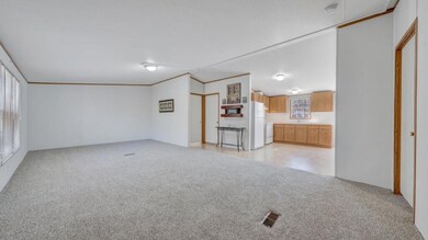 02-Photo 2