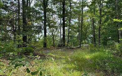 11758 Chatsworth Hwy, Ellijay, GA 30540 - photo 3