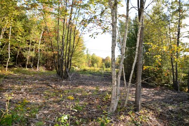 Lot 15 Fall NEW COVER