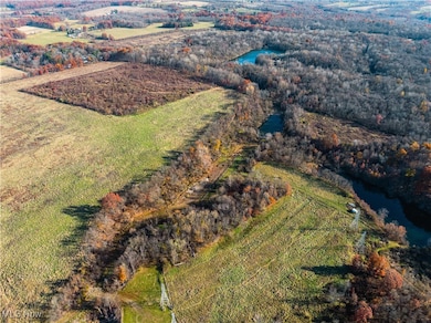 5975 Bedford Rd, Lowellville, OH 44436 - photo 6