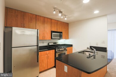 1136 Cove Rd unit 101, Annapolis, MD 21403 - photo 7