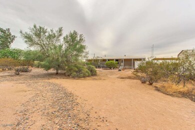 Smoketree-06