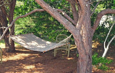 Hammock