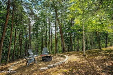 867 Lloyd Huskey Rd, Pigeon Forge, TN 37863 - photo 2