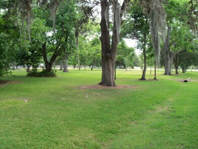 106 Pearl St, Brazoria, TX 77422 - photo 2