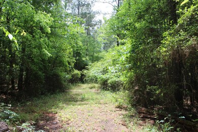 0 Fm 2497 unit 62476, Hudson, TX 75904 - photo 3