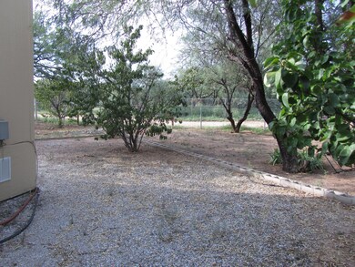 View From Rear Yard