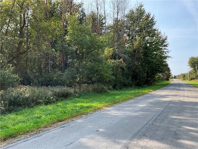 A partial view of the woods looking west on Powerl