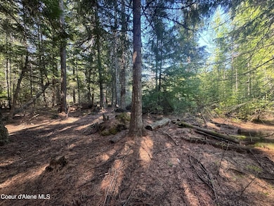 NNA Backroads Way Lot 3, Priest River, ID 83856 - photo 2