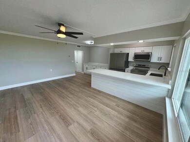 767 John Ringling Blvd unit 2, Sarasota, FL 34236 - photo 5