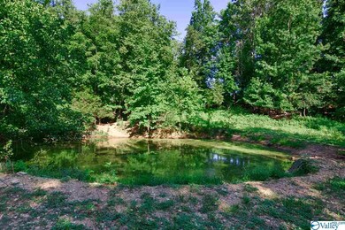 0 Shoal Creek Rd unit 1148561, Goodspring, TN 38460 - photo 2