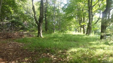 0 Henry Rd unit KEY909778, Cragsmoor, NY 12420 - photo 5