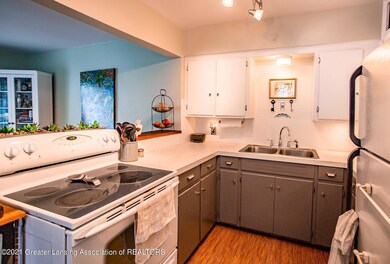 3130 Sablain Parkway Dr, Lansing, MI 48910 - photo 5