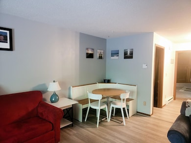 1093 Canyon Rd unit 303, Wisconsin Dells, WI 53965 - photo 2