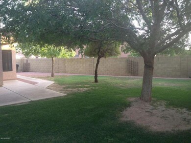 Side Yard