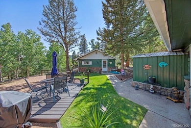 567 Forest Dr, Bailey, CO 80421 - photo 3