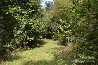 9999 Still Spring Rd unit Lot 4, Black Mountain, NC 28711 - photo 5