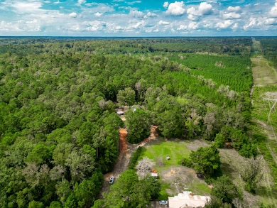 00 Florida 81, Ponce de Leon, FL - photo 7