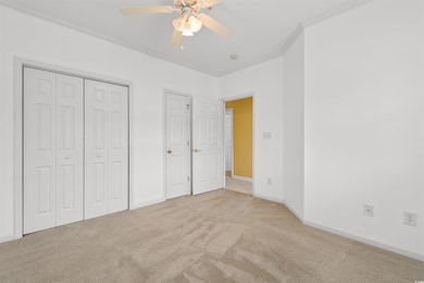 Unfurnished bedroom featuring carpet floors, ornamental molding, baseboards, ceiling fan, and a closet