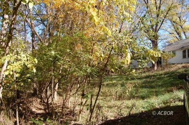 Woods by House