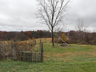 0 Shaver Rd unit 225044351, Blue Rock, OH 43720 - photo 3