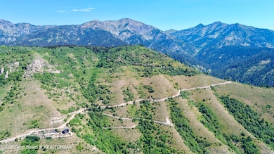 LOTS 17-21 Shady Ln, Irwin, ID 83428 - photo 3