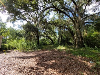 133 Pine Trail, Sylvester, GA 31791 - photo 4