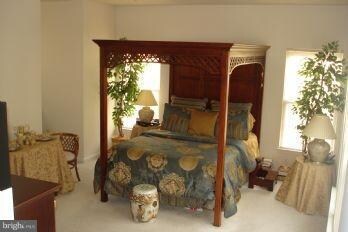 7002 Chain Fern Ct, Clinton, MD 20735 - photo 7