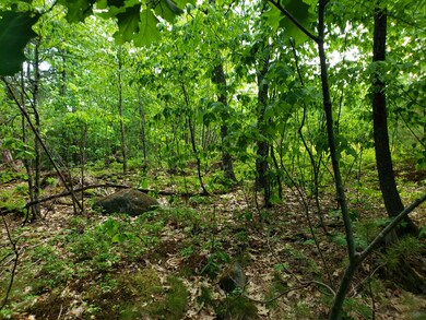 land